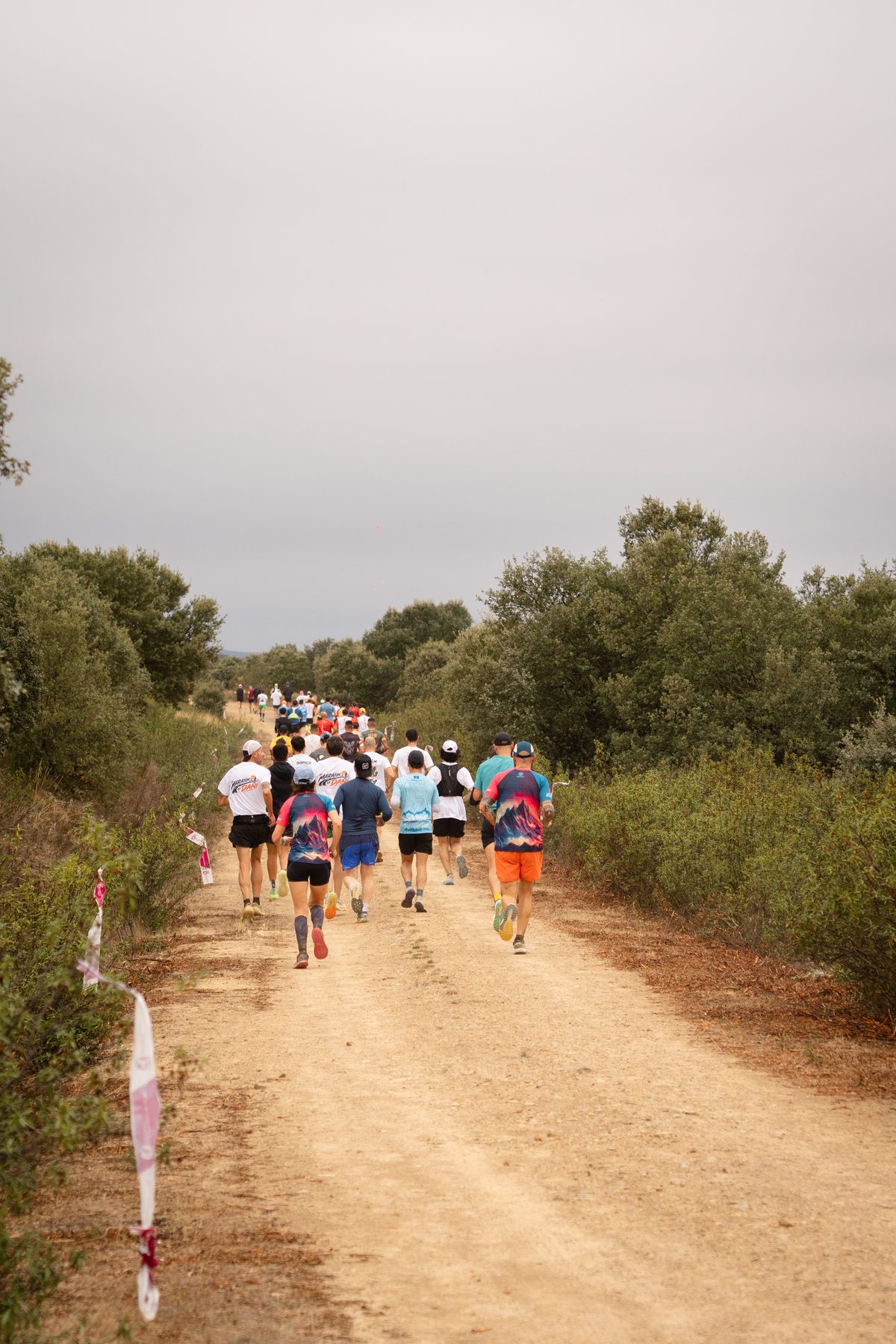 La carrera — foto 27