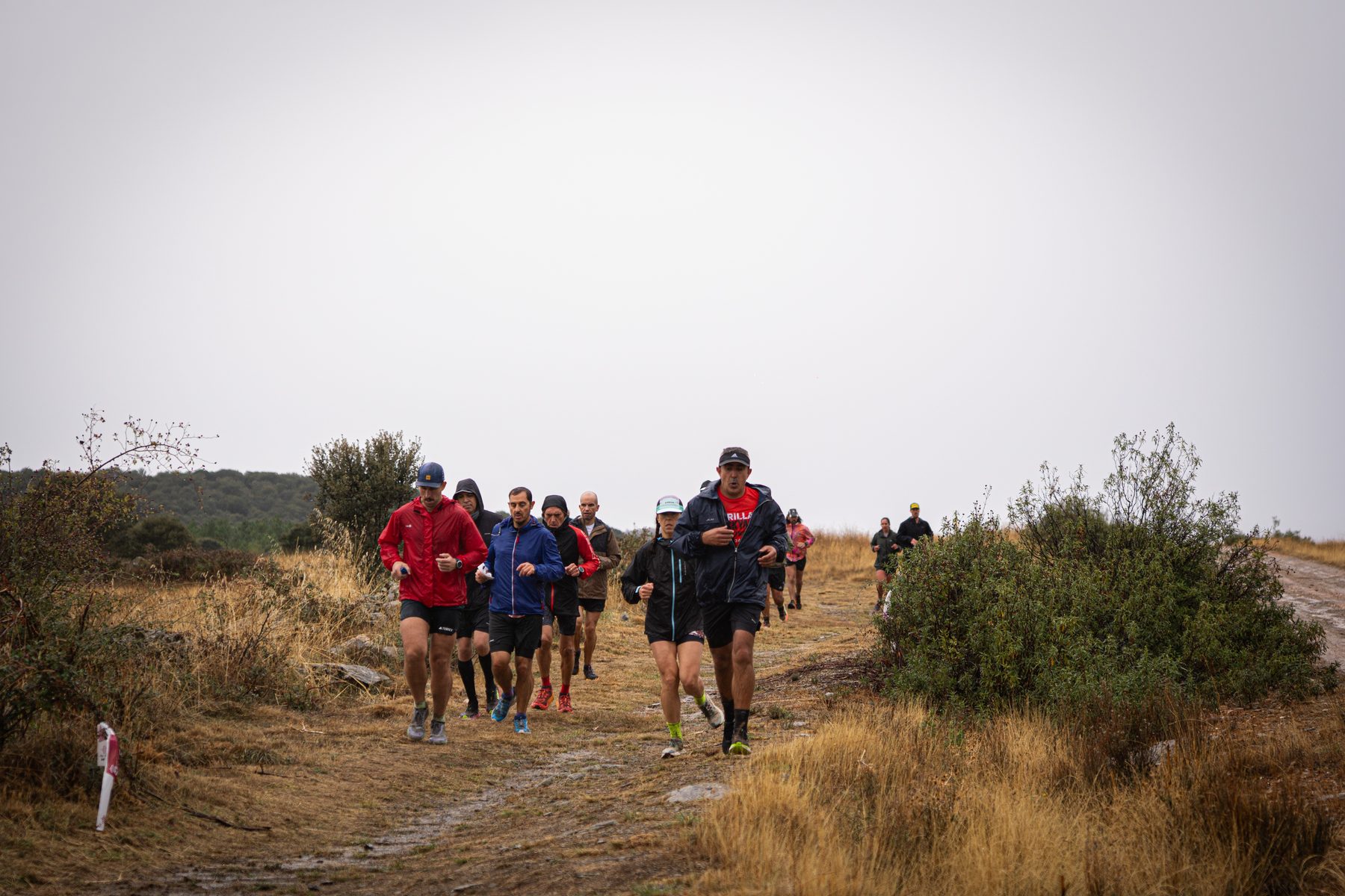La carrera — foto 81